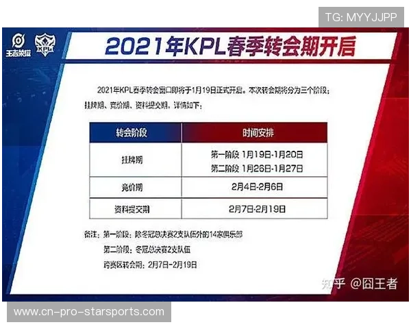 职业选手的转会流程解析与建议方案