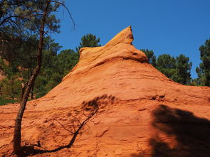 星空娱乐客服-一日英超动态阿莫林自信发声转会话题升温，阿莫子林